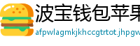 波宝钱包苹果版安装教程